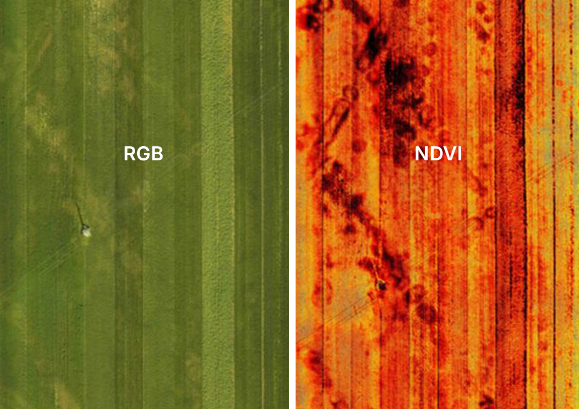 AirGrid NDVI-analys